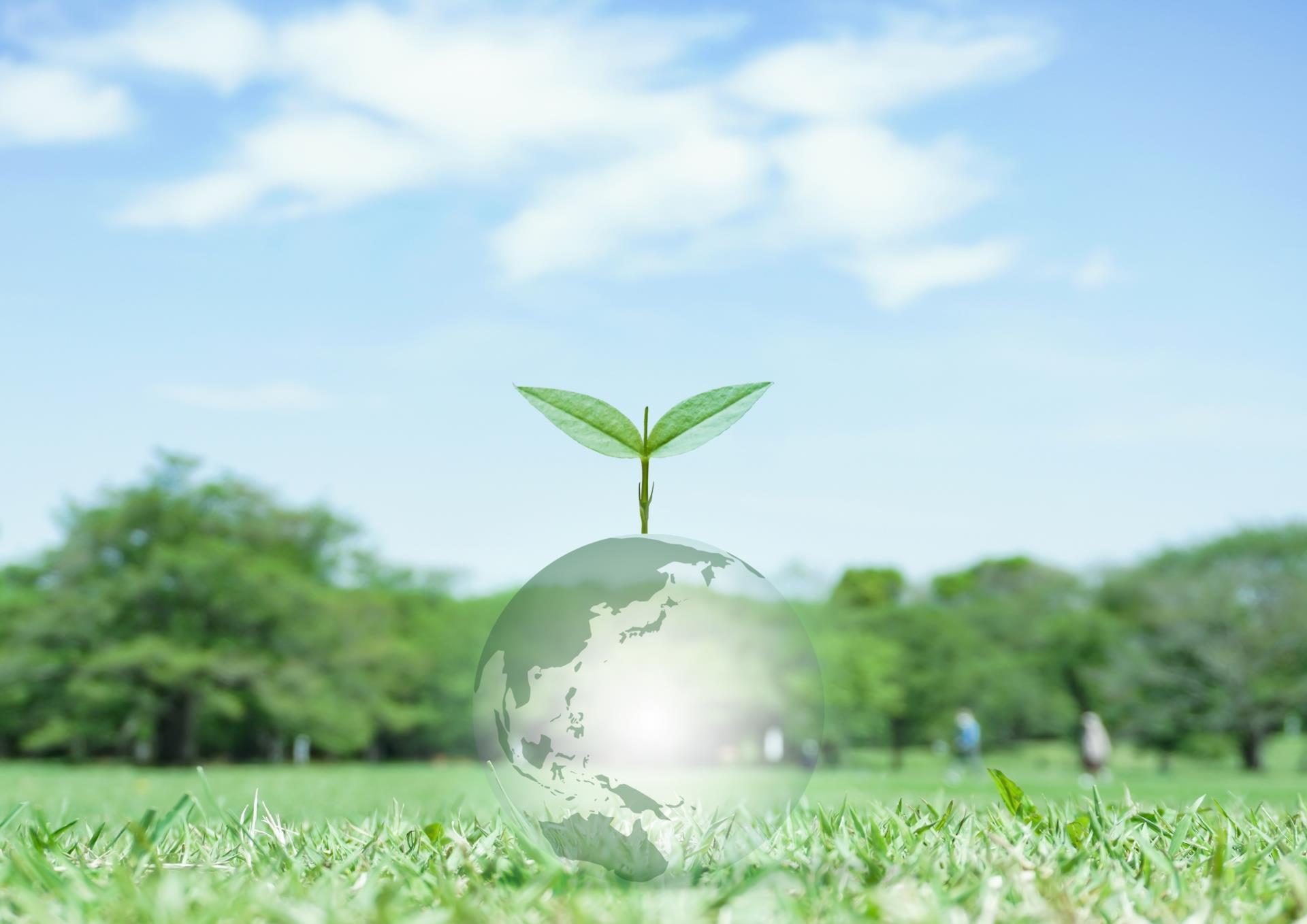 WEBデザイナーの画像